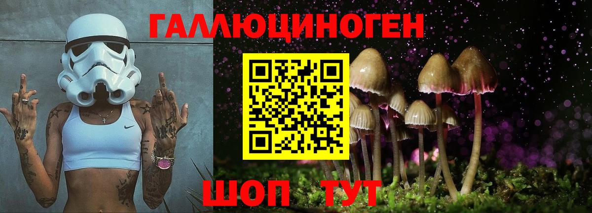 Чистополь  Галлюциногенные грибы прущие грибы  Вход с VPN 
